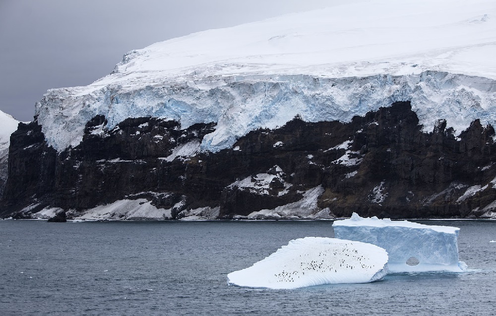 Bouvet Island covered by ice, with icebergs with a colony of penguins on it