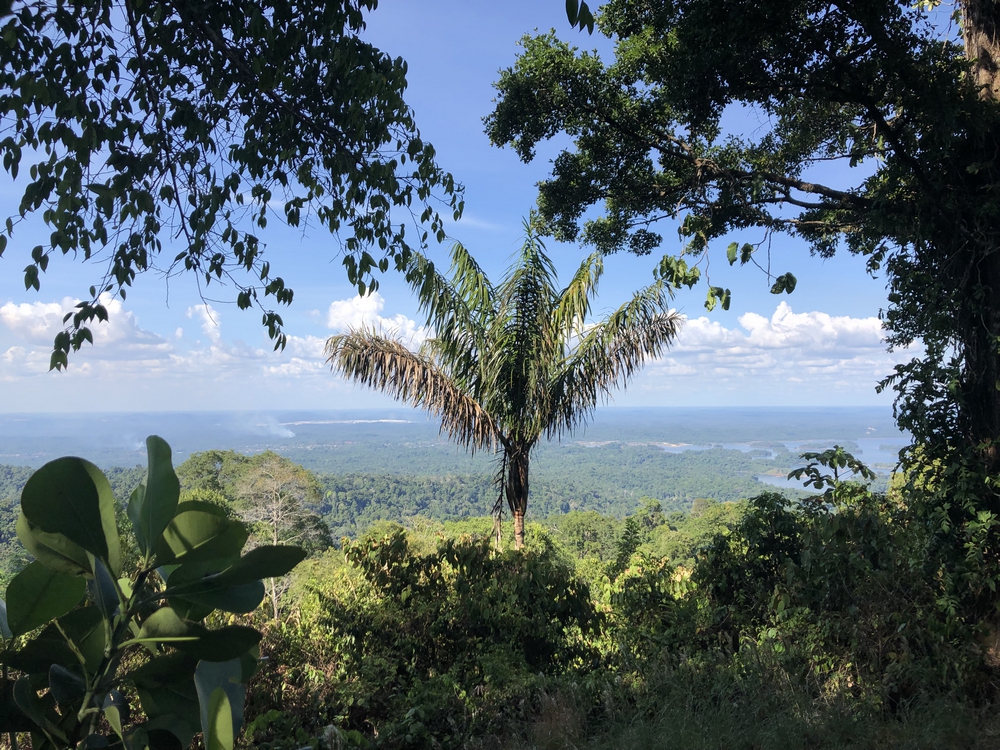 A view from the top of Brownsberg Nature Park hill, overlooking the Brokopondo river water reservoir.