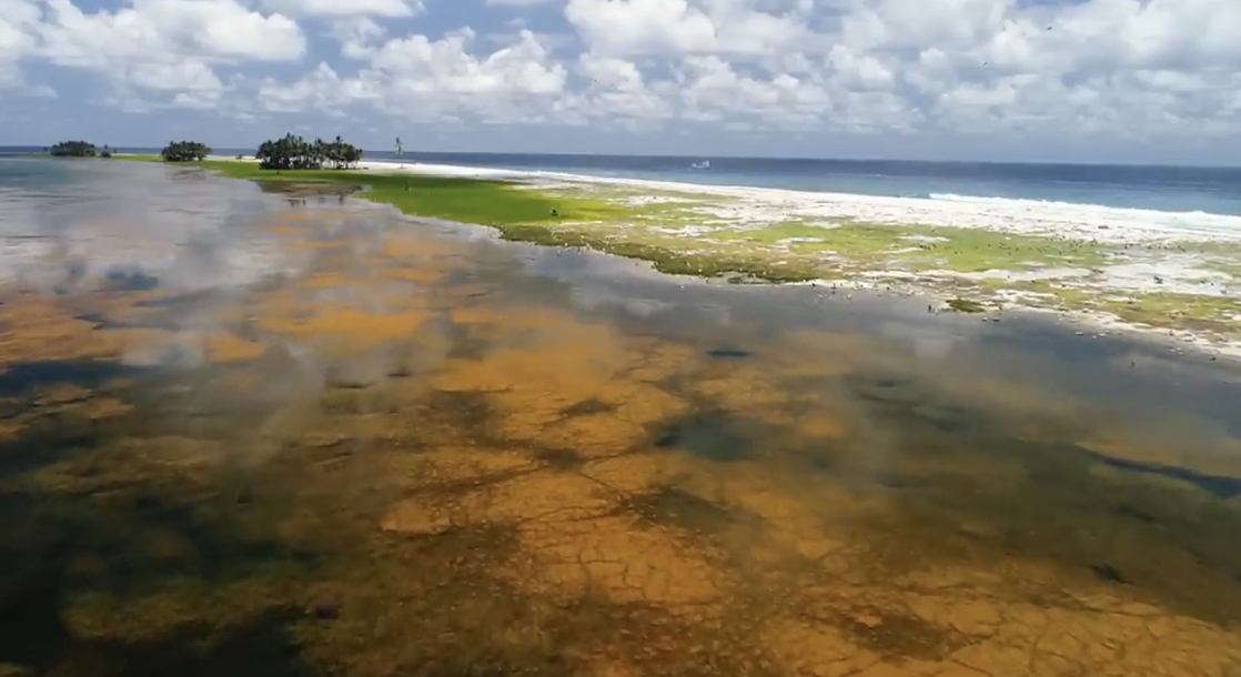 Clipperton Island Lagoon