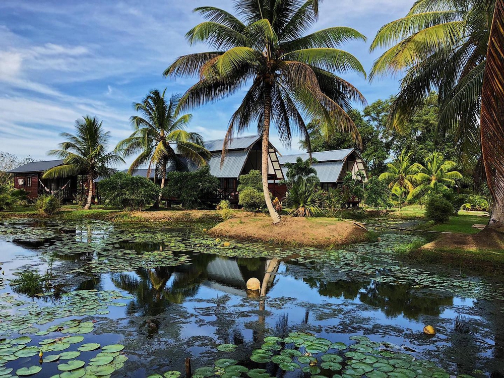 The Commewijne Plantations in Suriname.