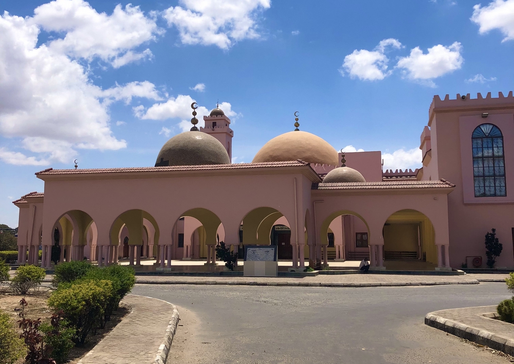The Pink Gaddafi Mosque of Dodoma