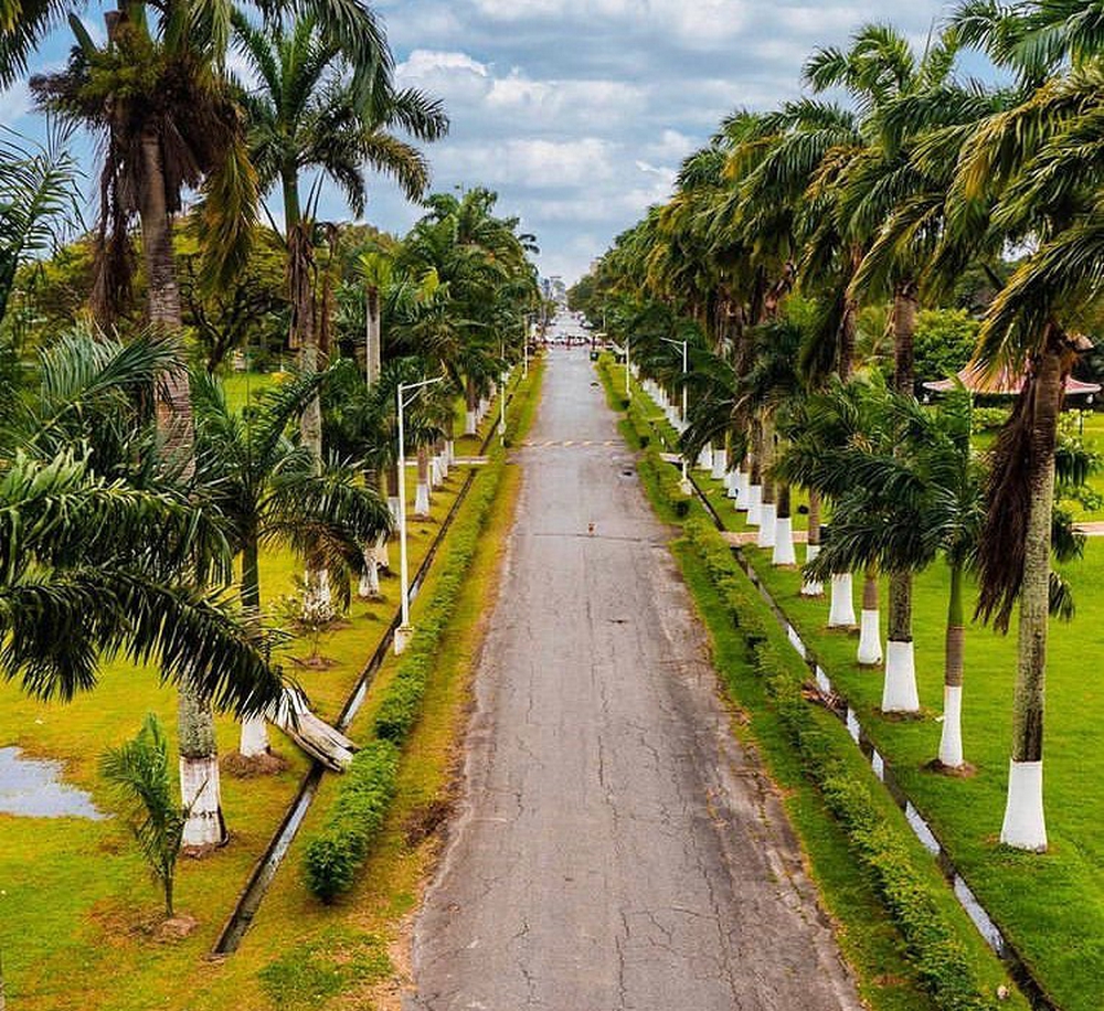 The Georgetown botanical gardens, Guyana