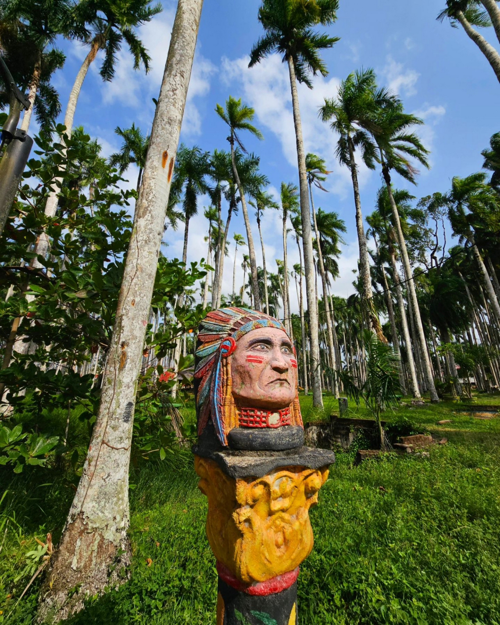 Palmentuin Park of Paramaribo, a little palm Oasis within the city