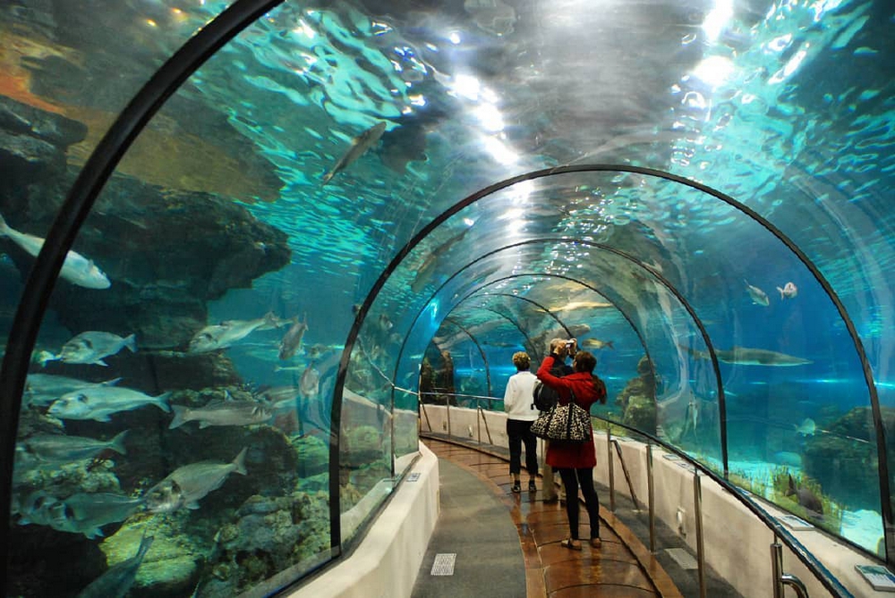 Sea Life Benalmádena, located at the Puerto Marina, Spain